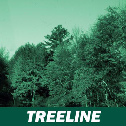 Picture of TREELINE MEMBERSHIP $250+