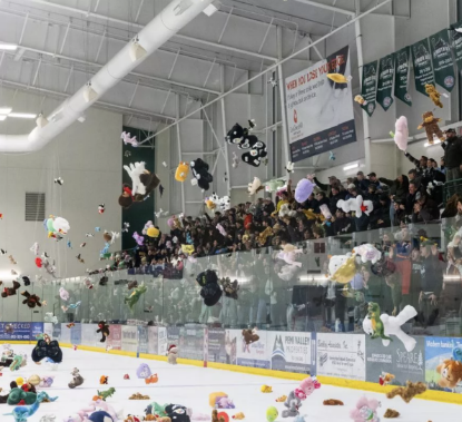 Teddy Bear Toss