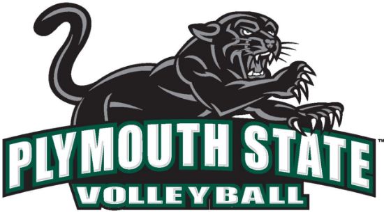 Picture of PSU Volleyball Summer ID Clinic
